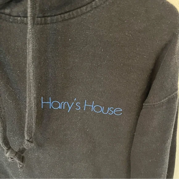 Harry Styles Harry House Unisex Medium Hoody Sweatshirt - Picture 4 of 6